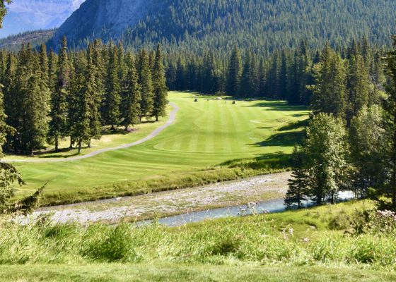 No. 15 - Spray, Banff Springs