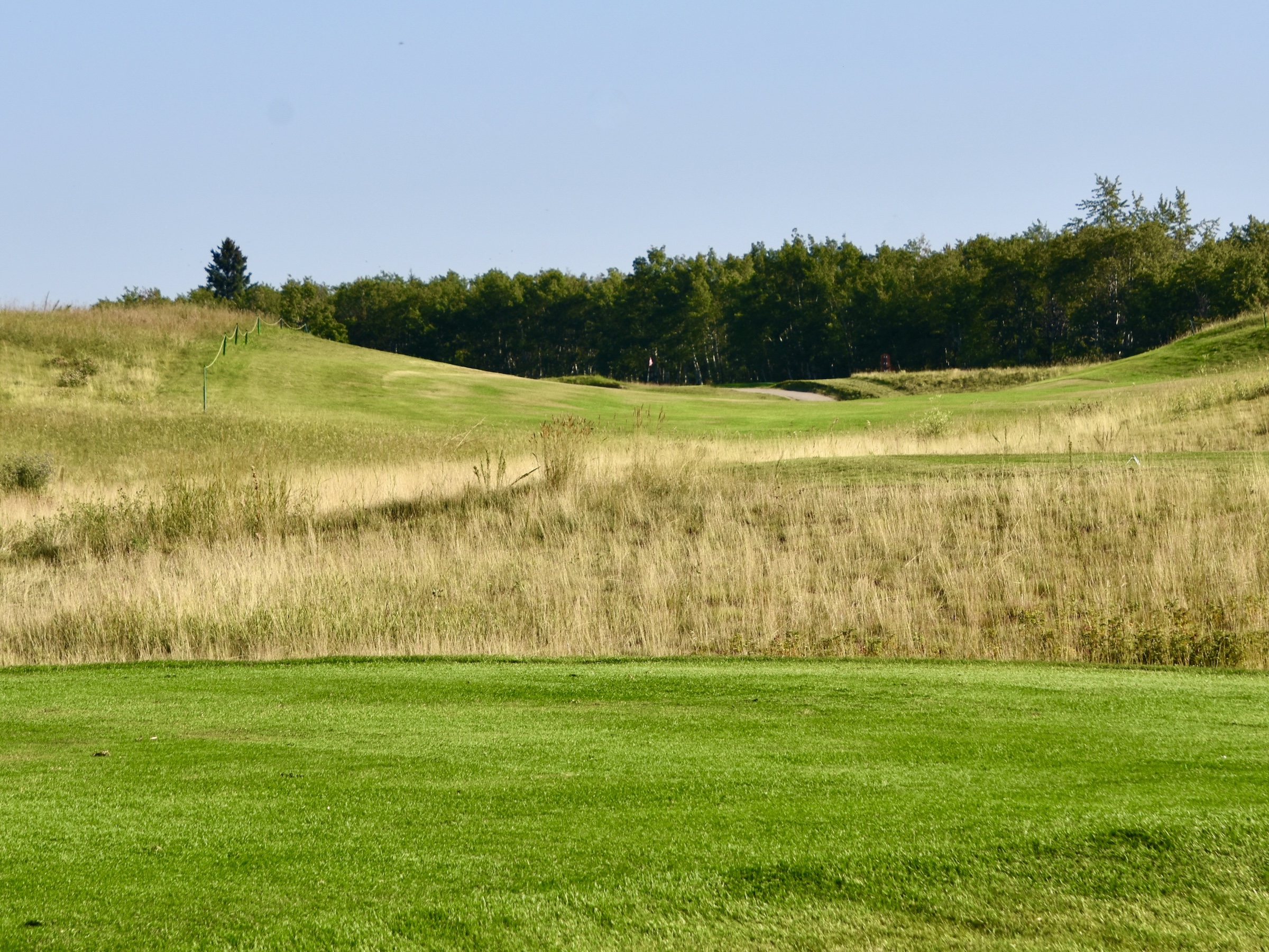 No. 15 Bunny, Wolf Creek Old Course