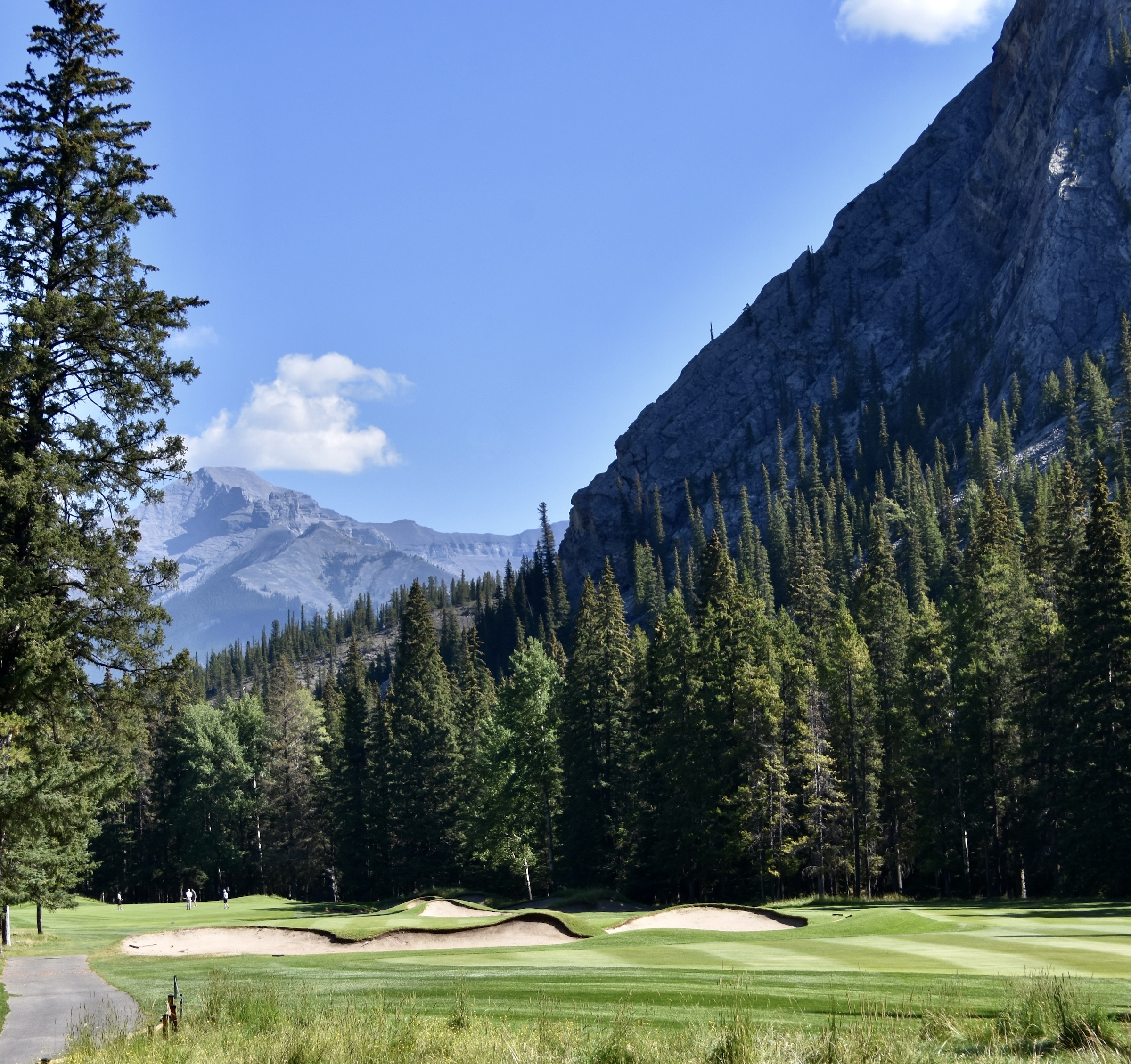 Banff Springs No. 16 - Goat