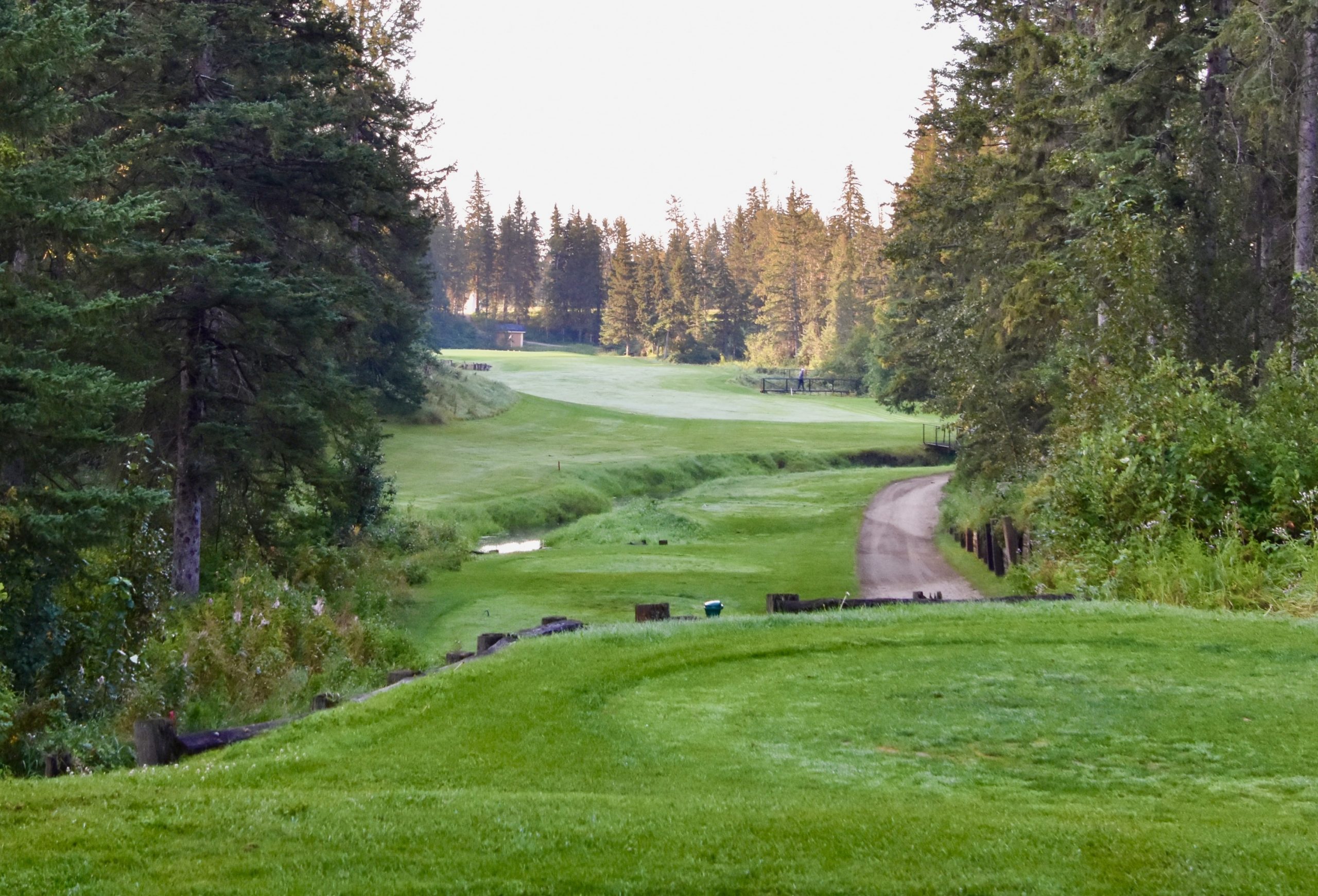 Wolf Creek Old Course No. 4