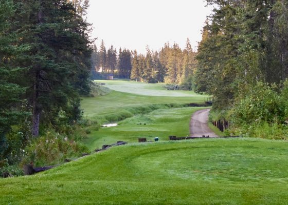 No. 4 Wolf Creek Old Course