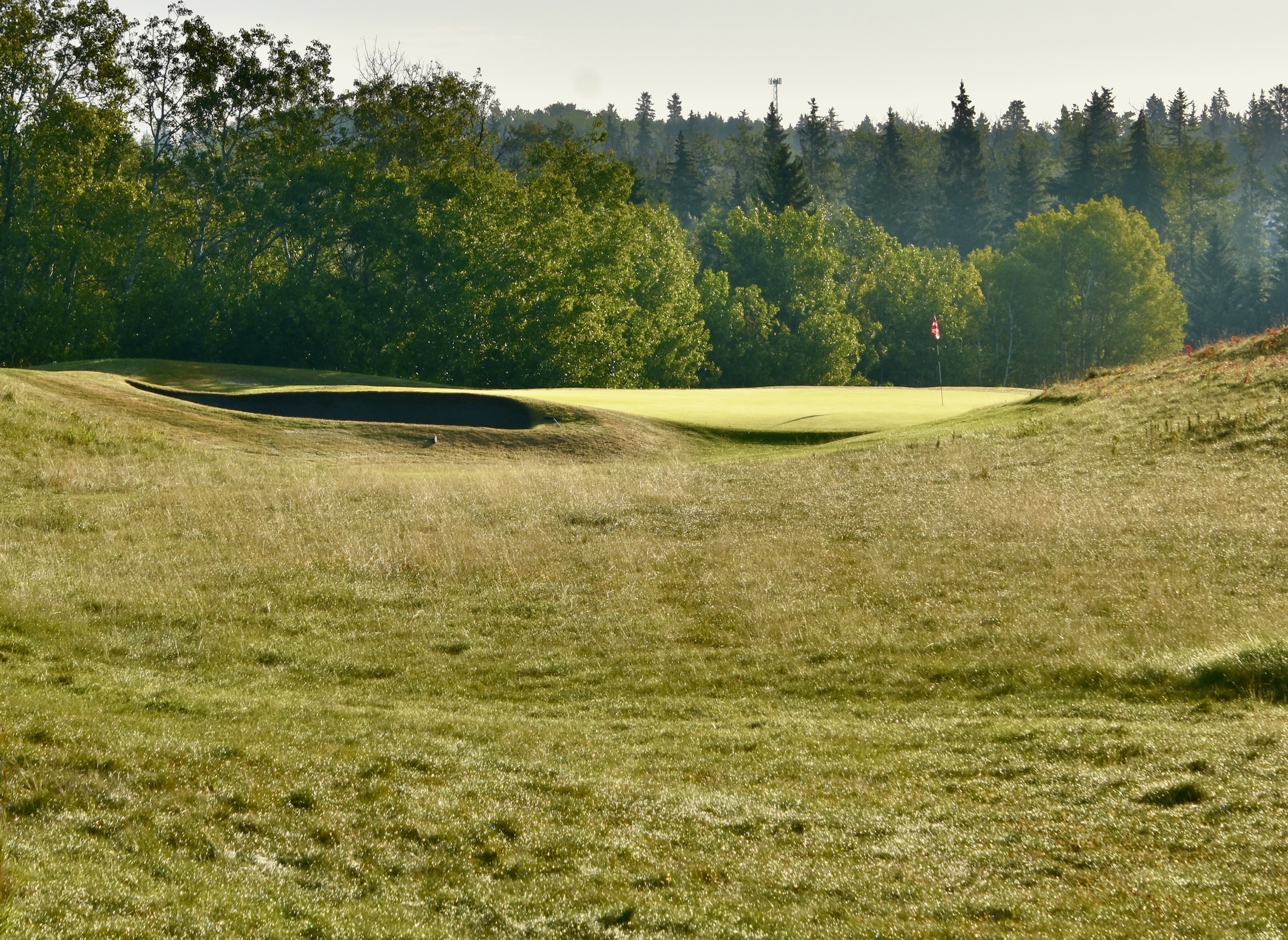 Wolf Creek Old Course #7