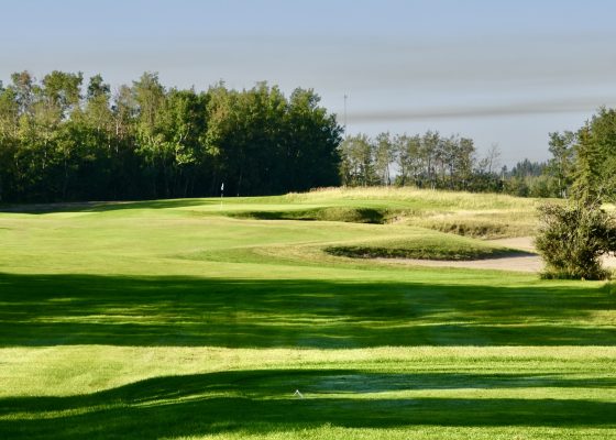 No. 8 Wolf Creek Links Course