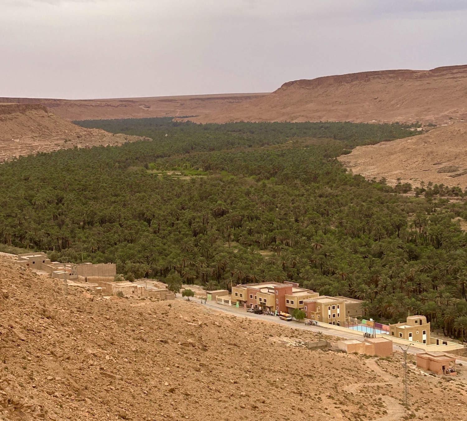 Date Palm Oasis near Erfoud