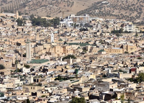 Medina of Fes from Above