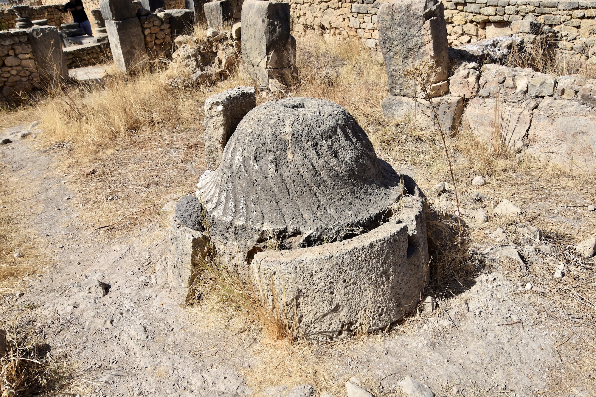 Olive Press, Volubilis