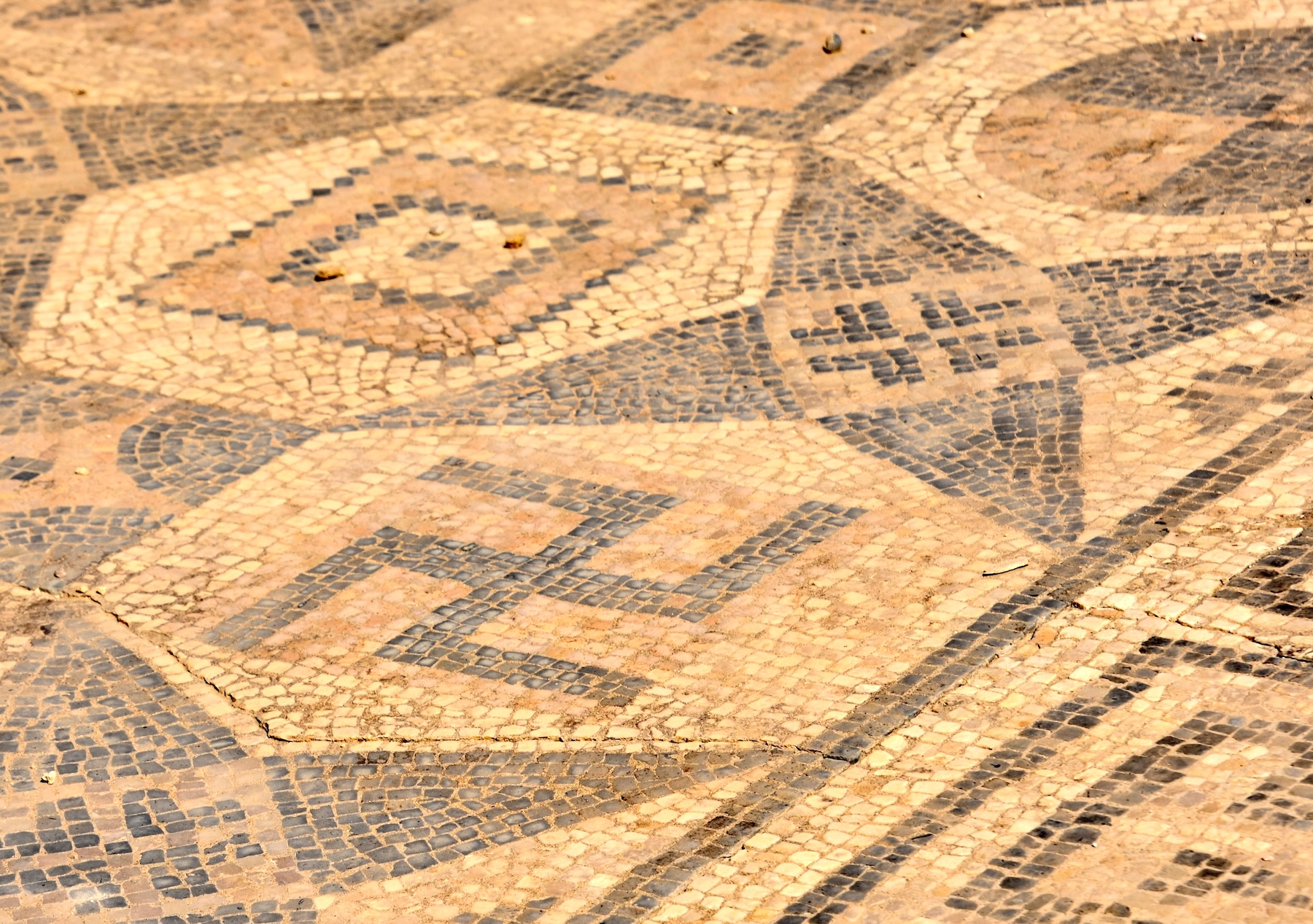 Volubilis Swastika