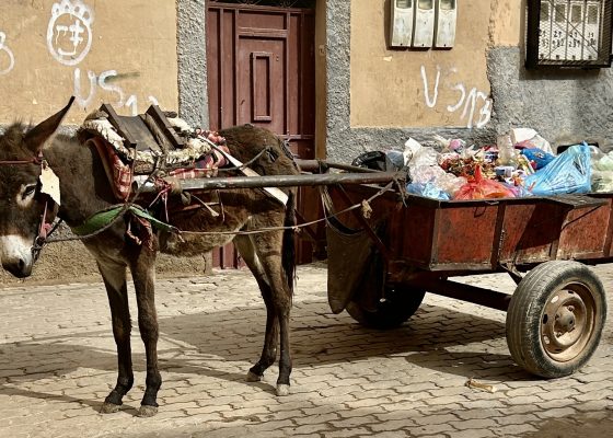 Medina Garbarge Truck, Taroudannt