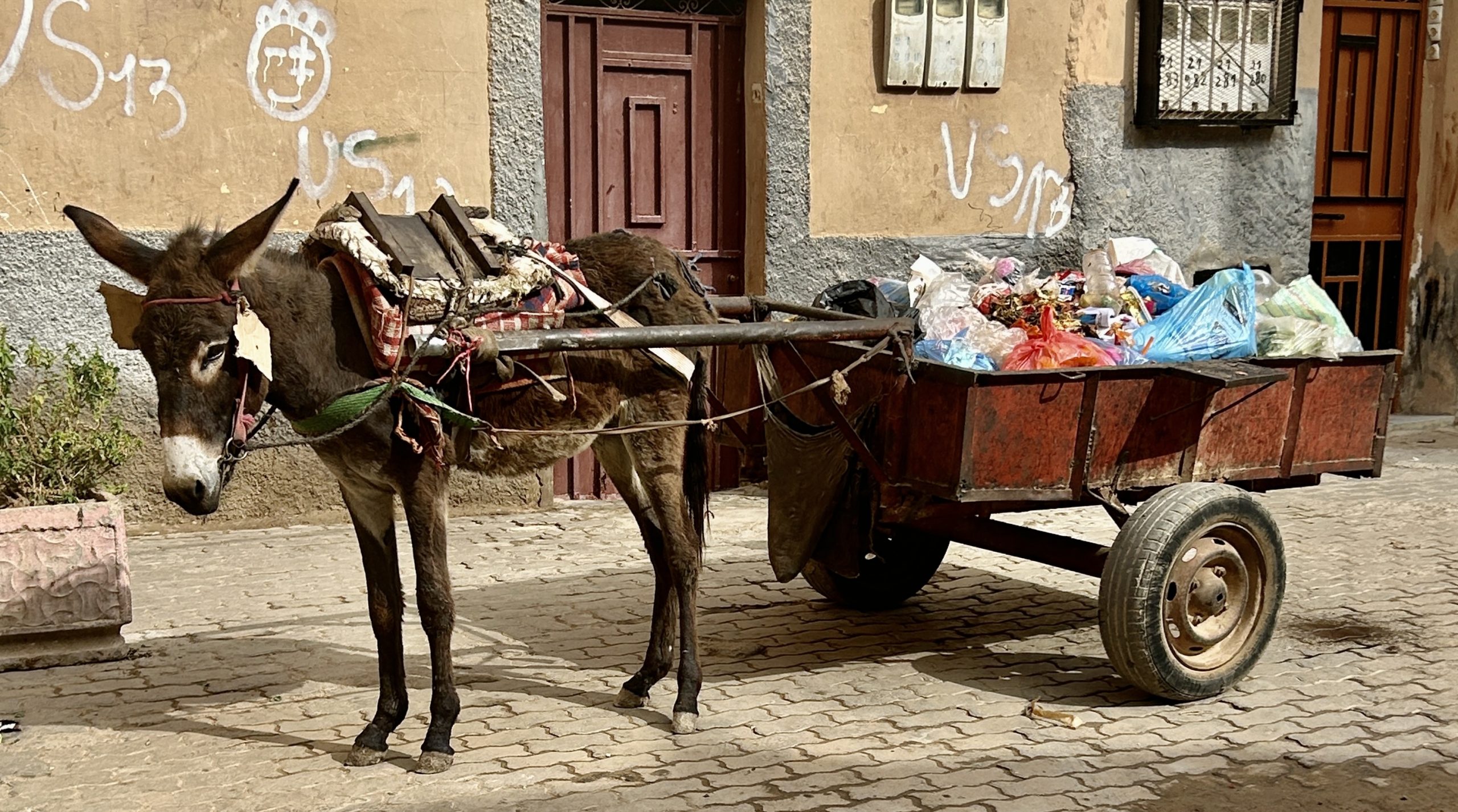 Medina Garbarge Truck, Taroudannt