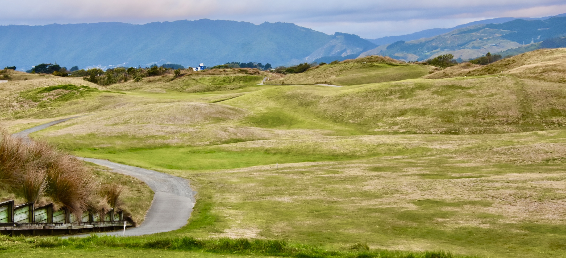 #1- Alex Paraparaumu Beach
