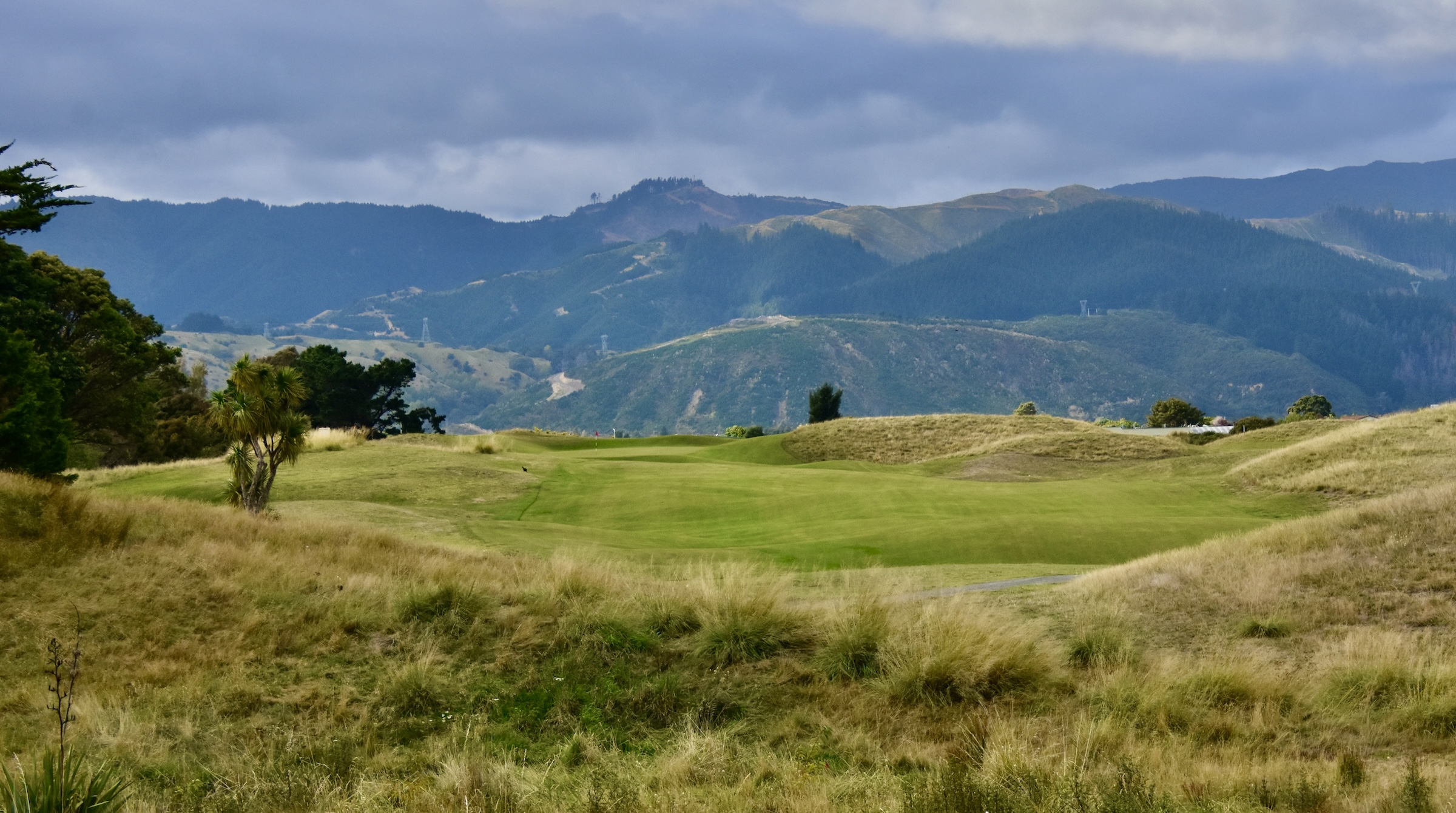 Paraparaumu Beach #13 - The Divide