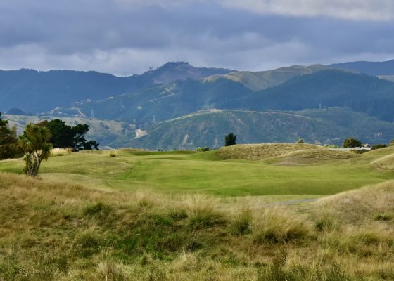 #13 Paraparaumu Beach G.C.