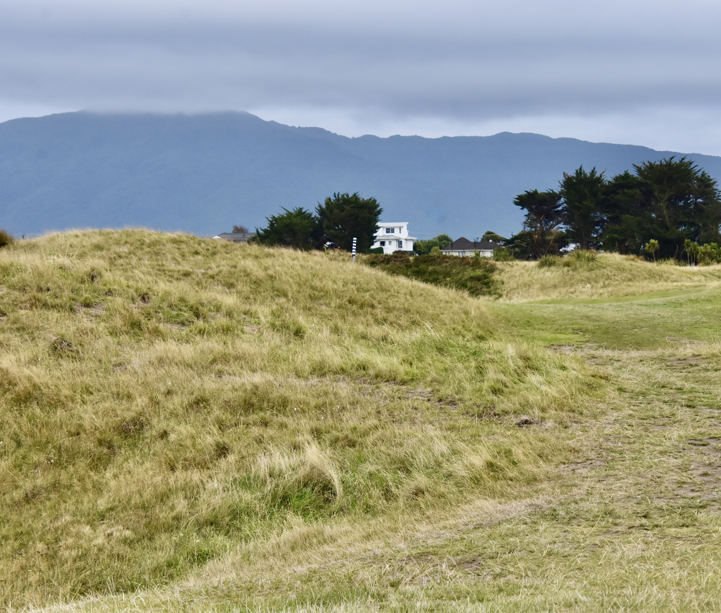 #15 - Blind Faith, Paraparaumu Beach