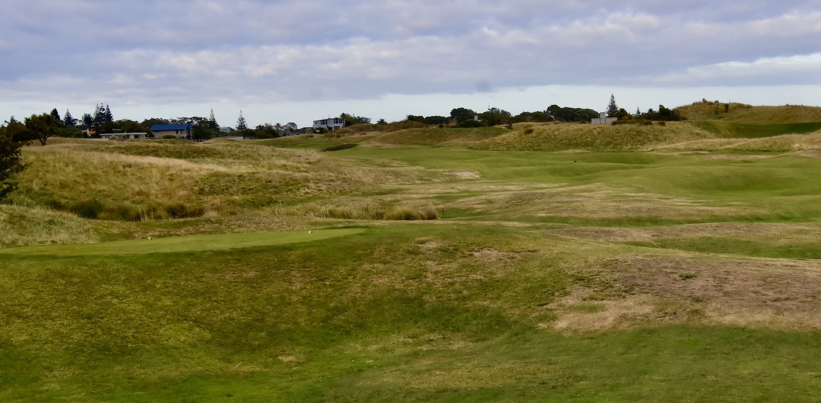 Paraparaumu Beach #7