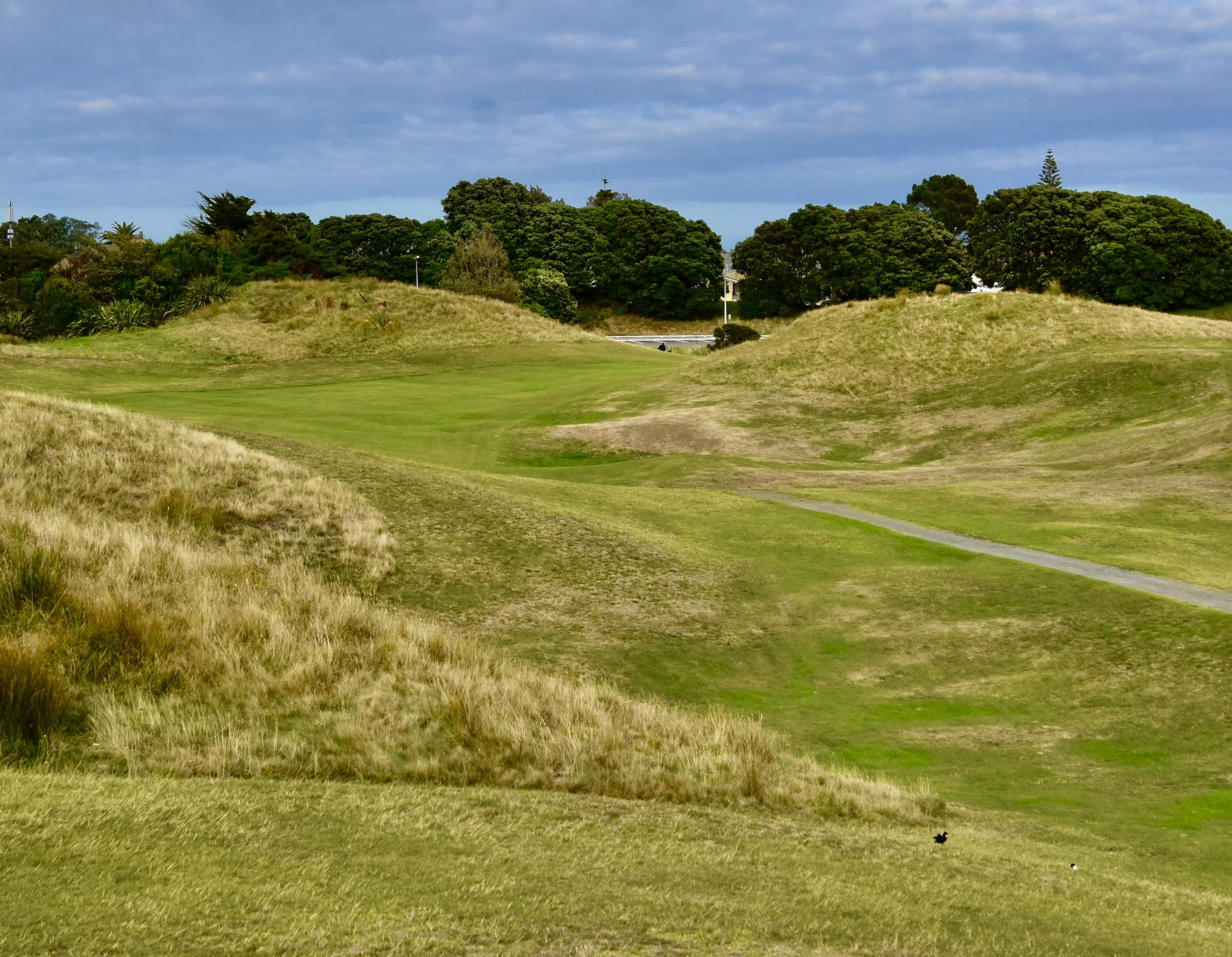 Paraparaumu Beach #9