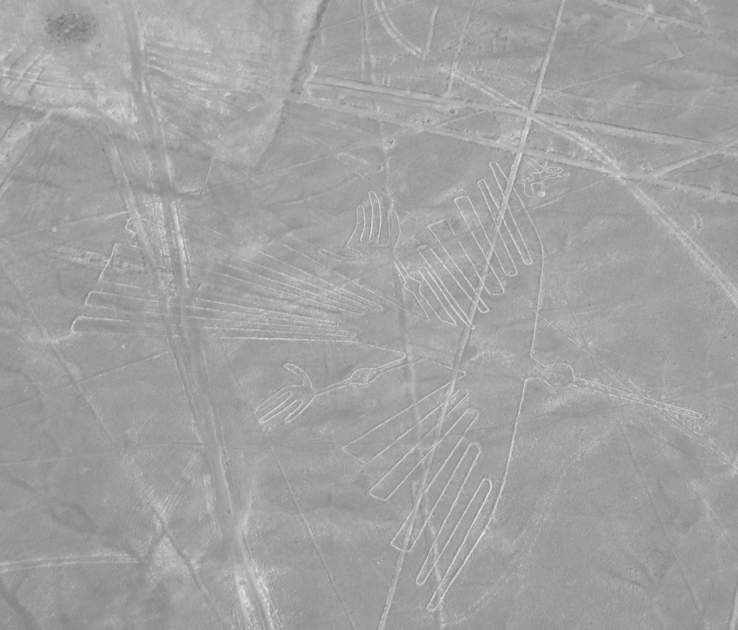 Nazca Lines Palpa Hummingbird