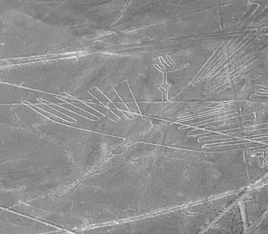 Nazca Lines Condor