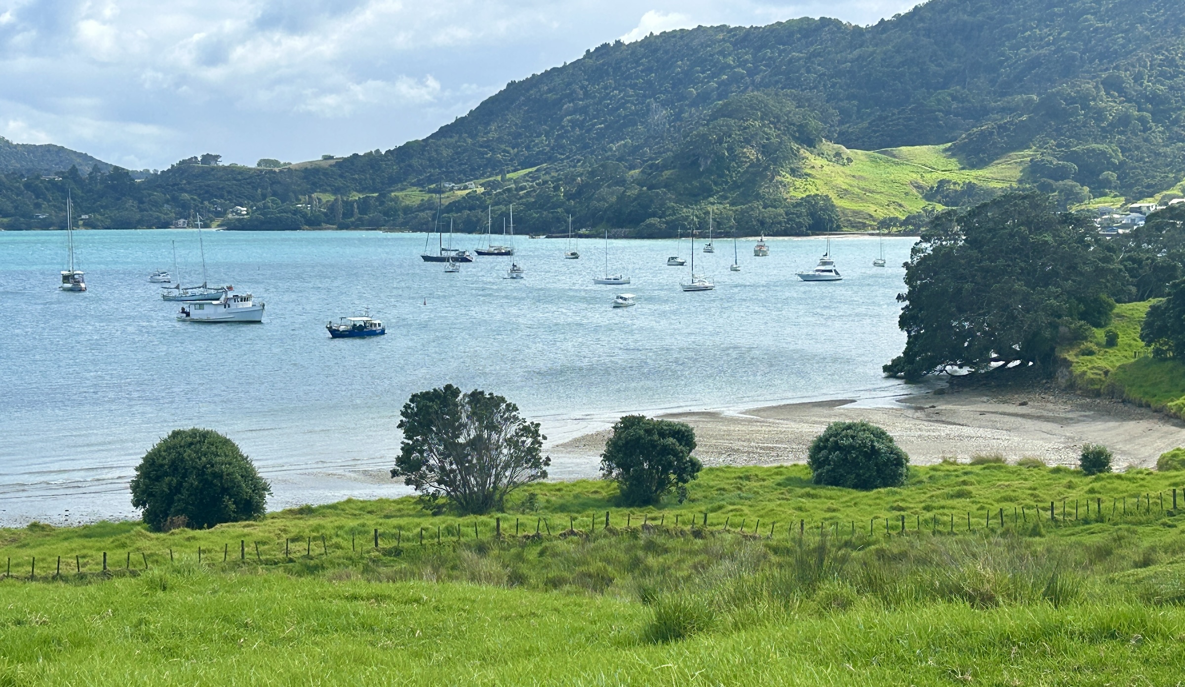 Bream Head Harbour, Whangarei Heads