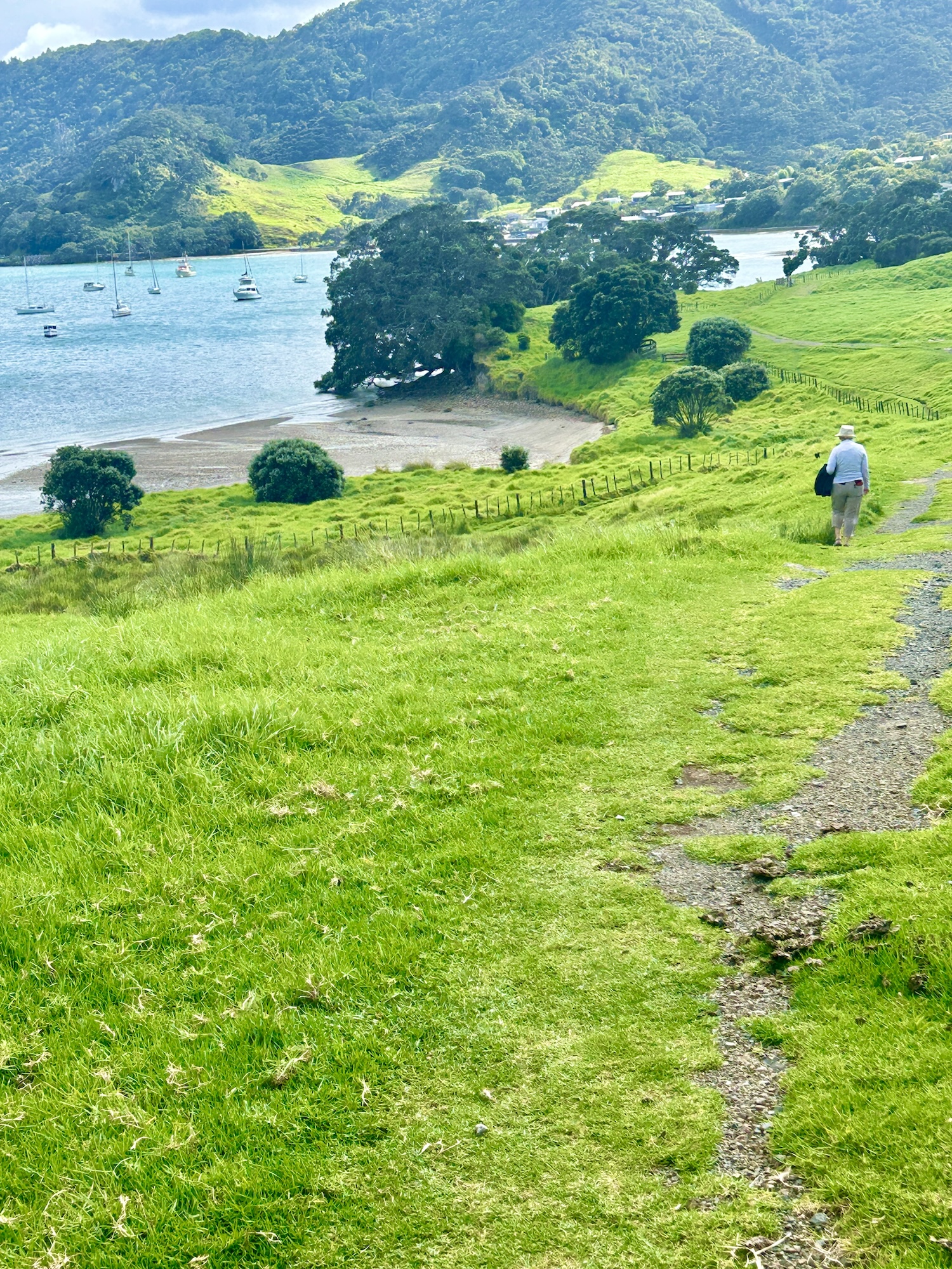 Whangarei Heads Walk