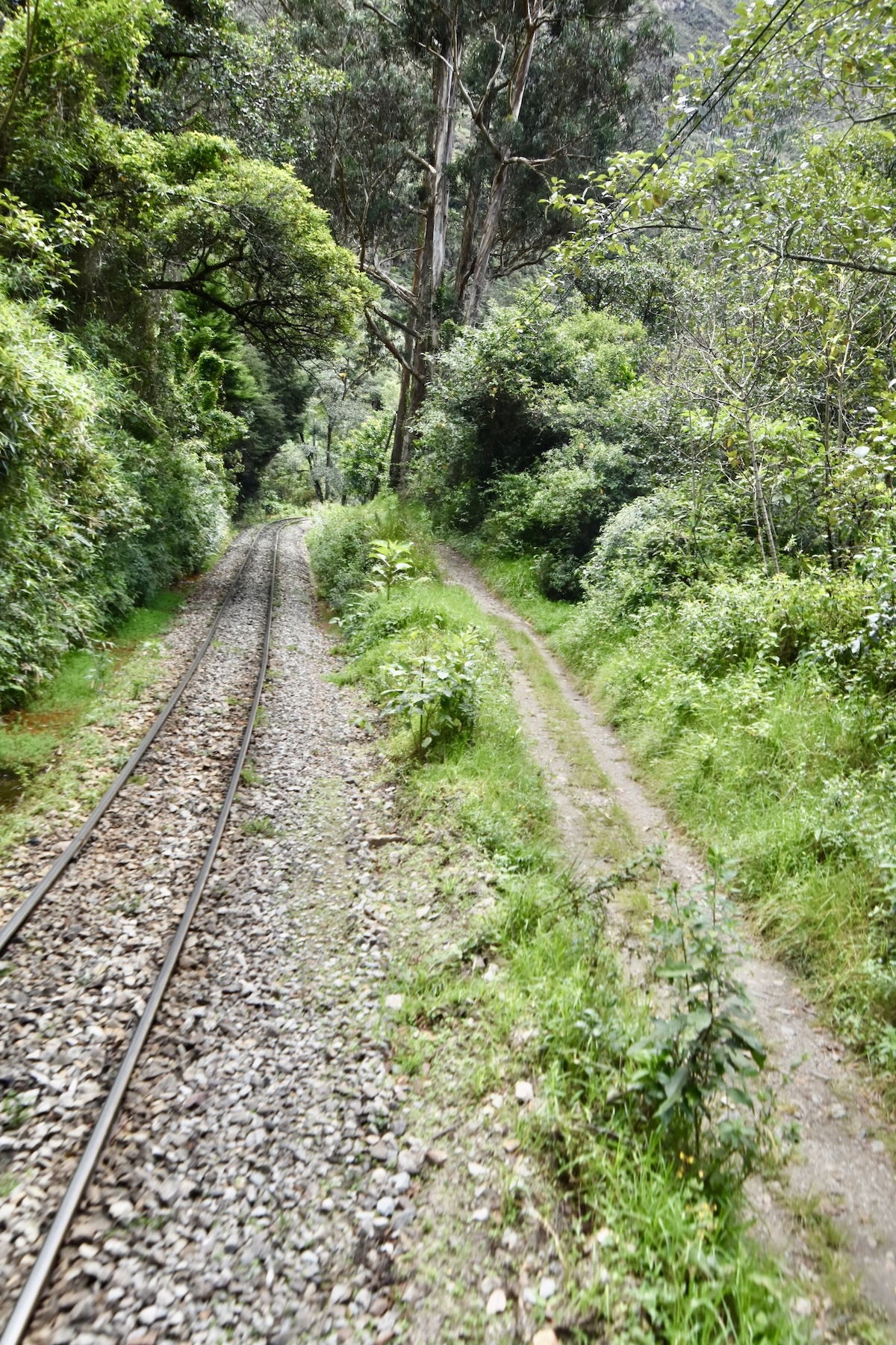 Alongside the Inca Trail to Aguas Calientes