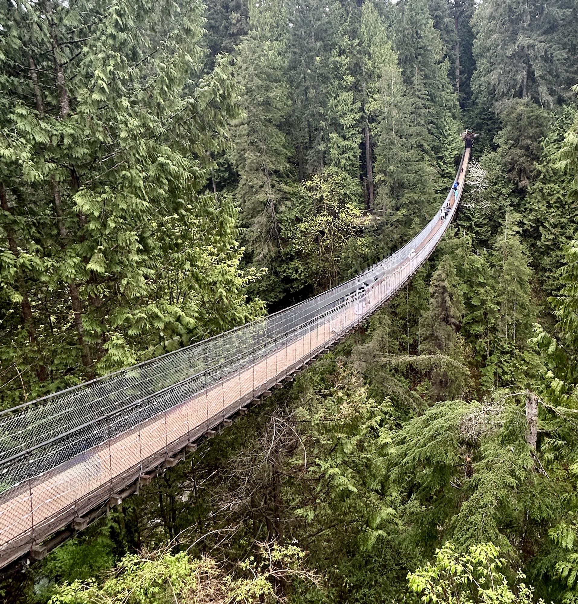 Capilano Suspension Bridge on Vancouver's North Shore