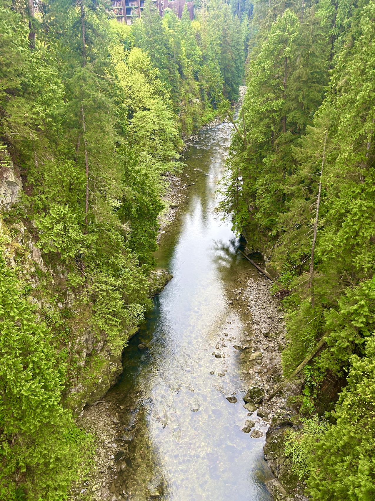 Looking South from Capilano Suspension Bridge on Vancouver's North Shore