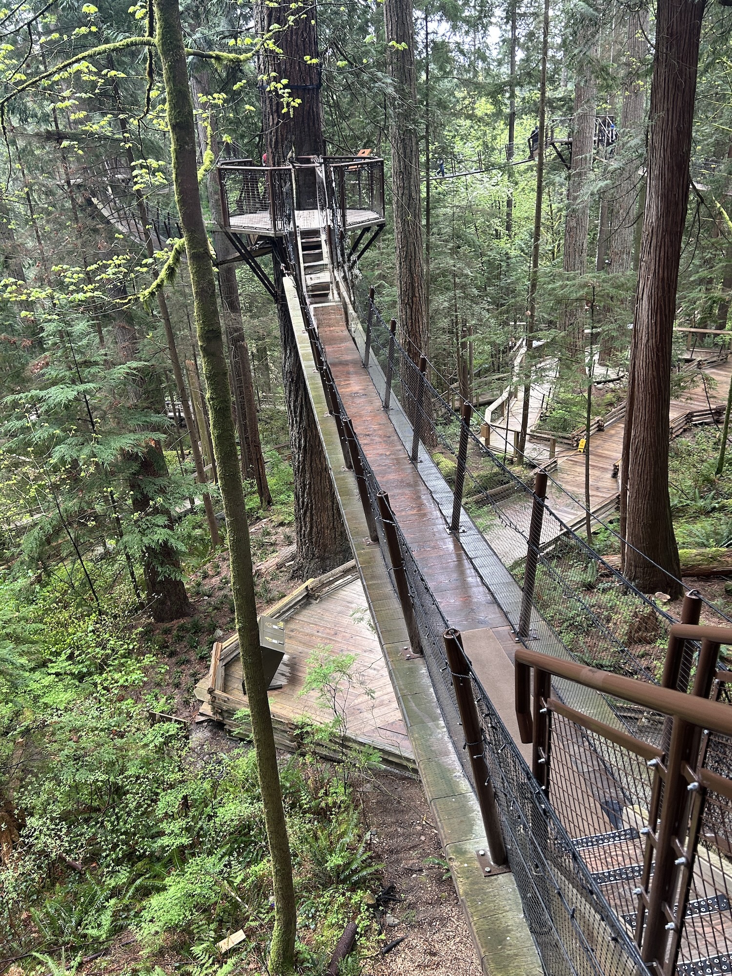 Treetop Adventure on Vancouver's North Shore