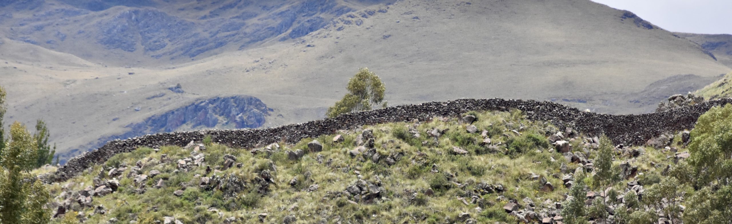 Raqchi Wall