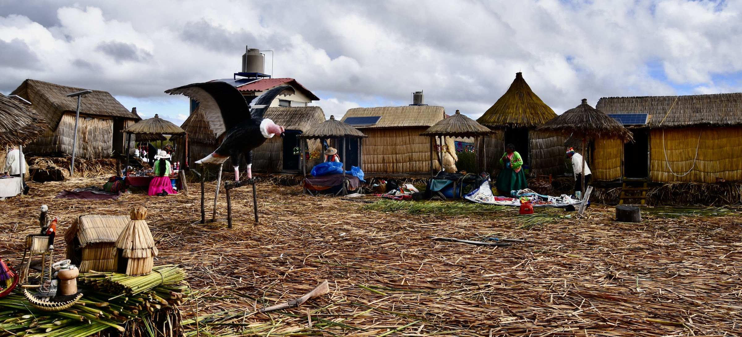 Condor Island, Lake Titicaca