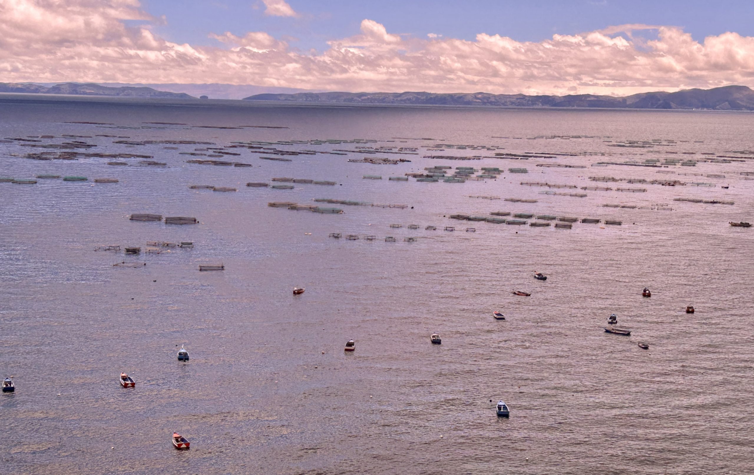 Lake Titicaca Aquaculture on the Way to Copacabana