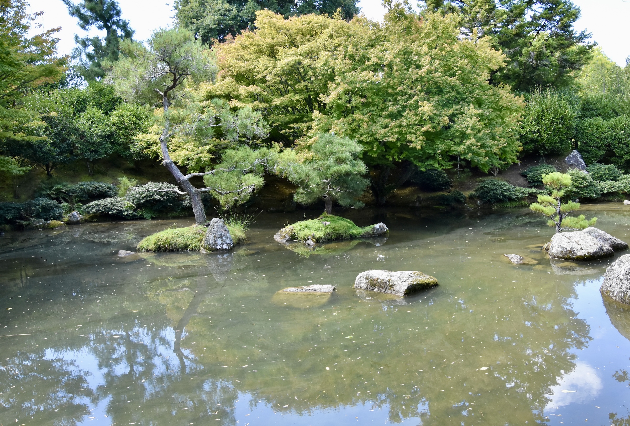 Japanese Garden Pond, Hamilton Gardens