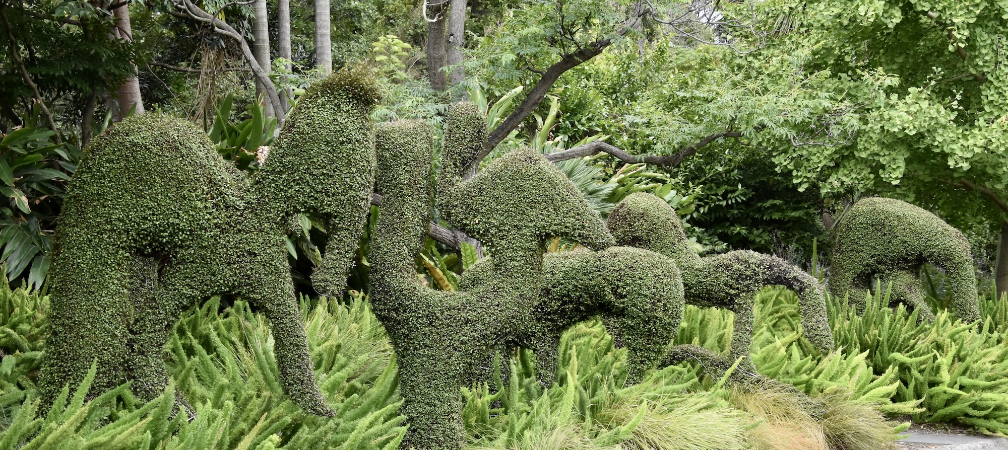 Topiary Garden, Melbourne Redux