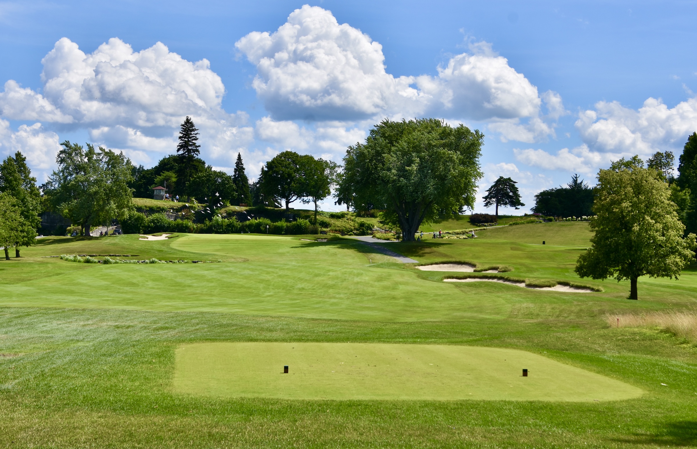 #9 Pond, Beaconsfield