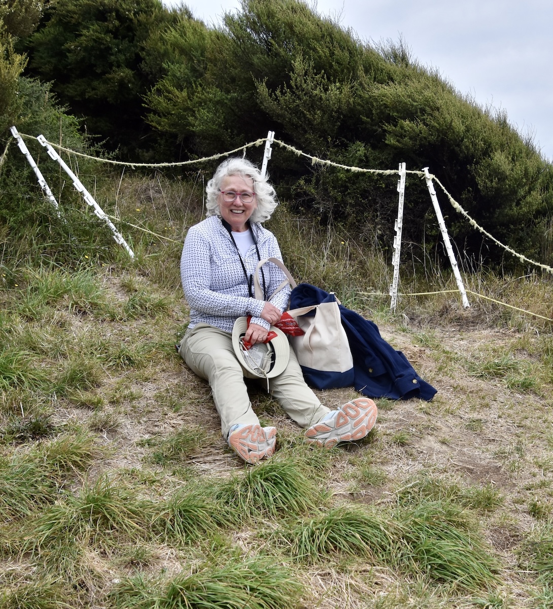 On the Summit of Kapiti Island