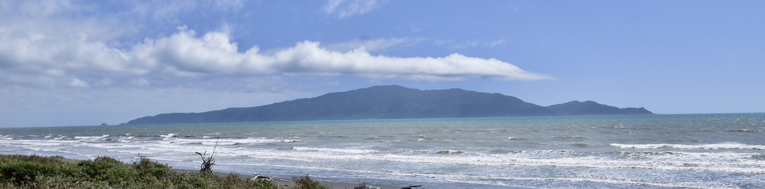 Kapiti Island