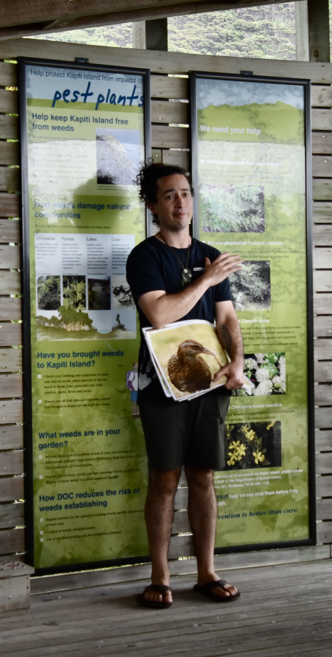 Our Kapiti Island Guide