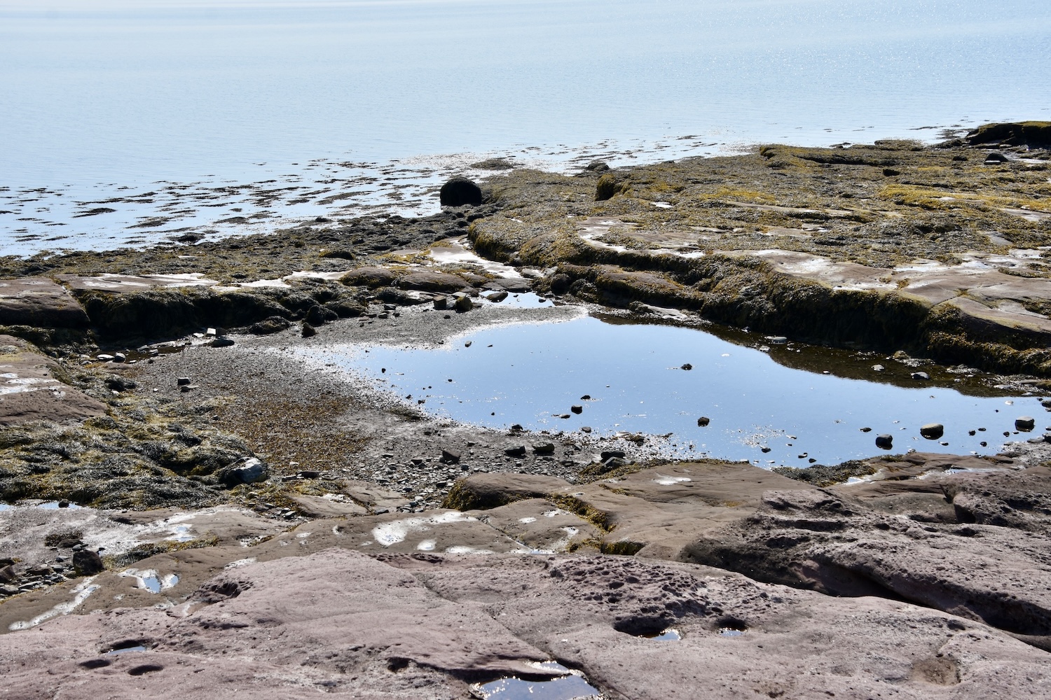 Remnants of the Pool at Ministers Island