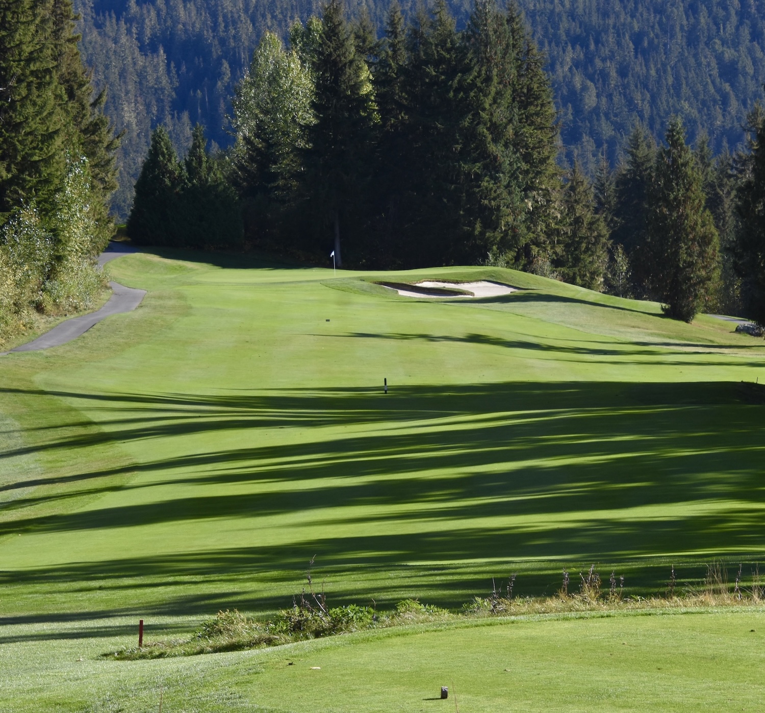 #12 Chateau Whistler