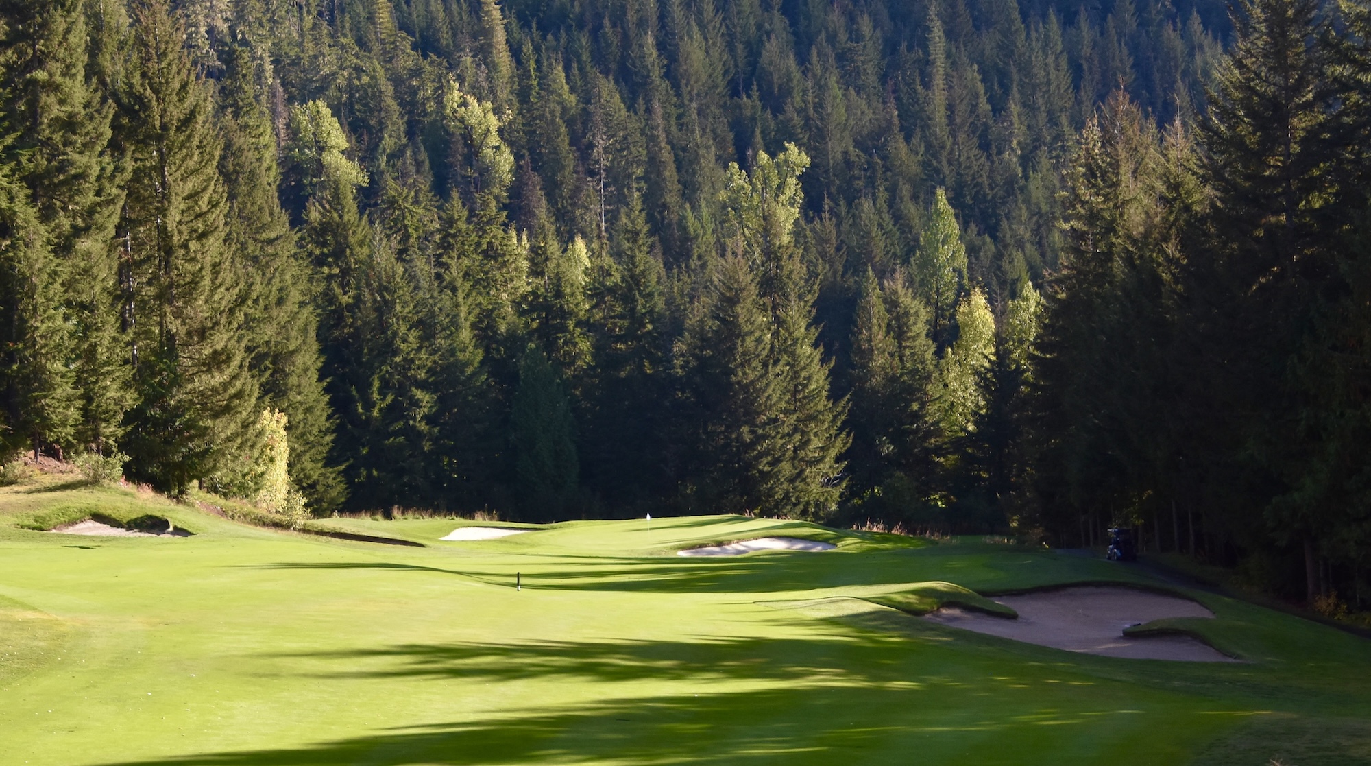 #15 Chateau Whistler