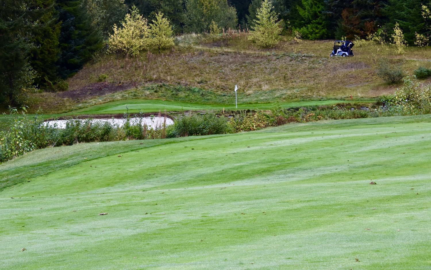 #2 Approach Chateau Whistler