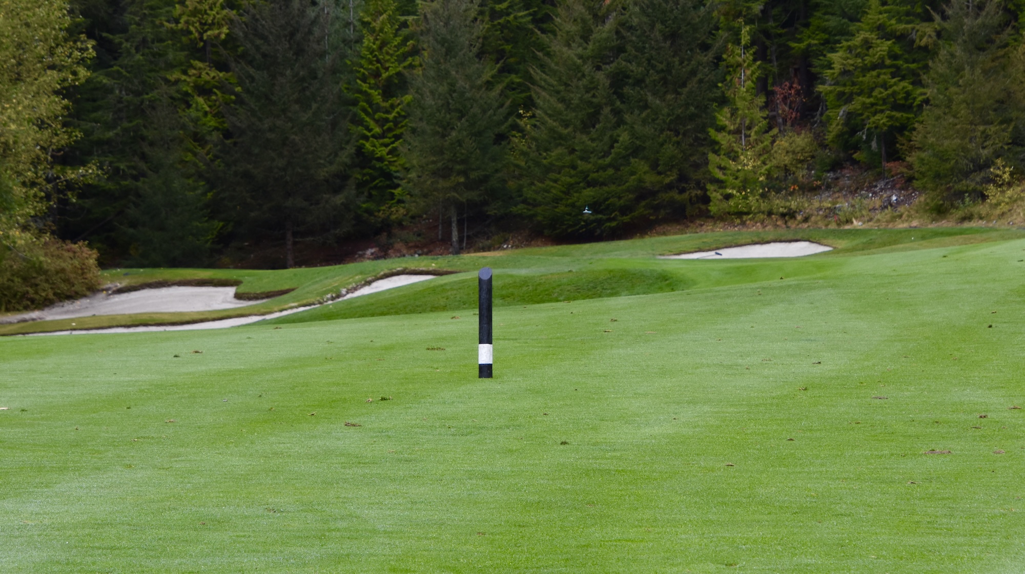 #4 Approach Chateau Whistler