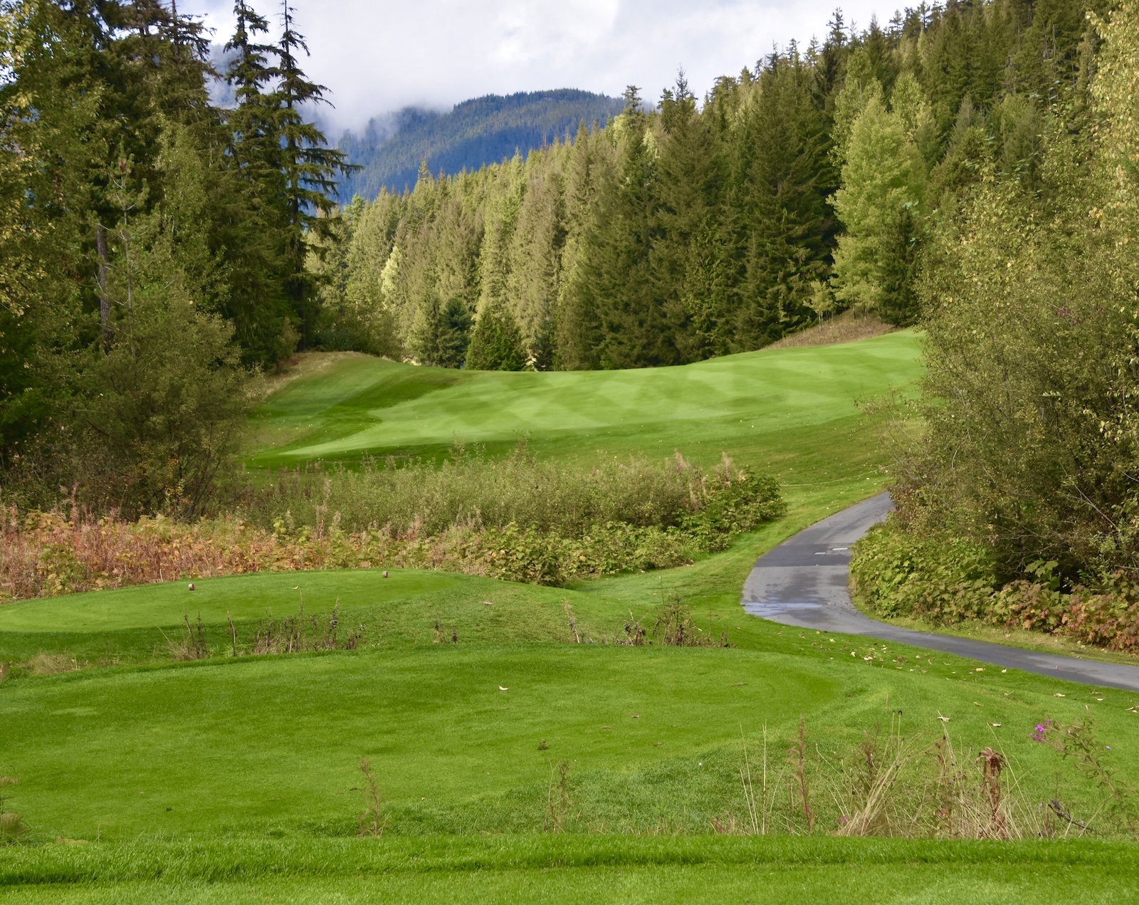 #6 Chateau Whistler