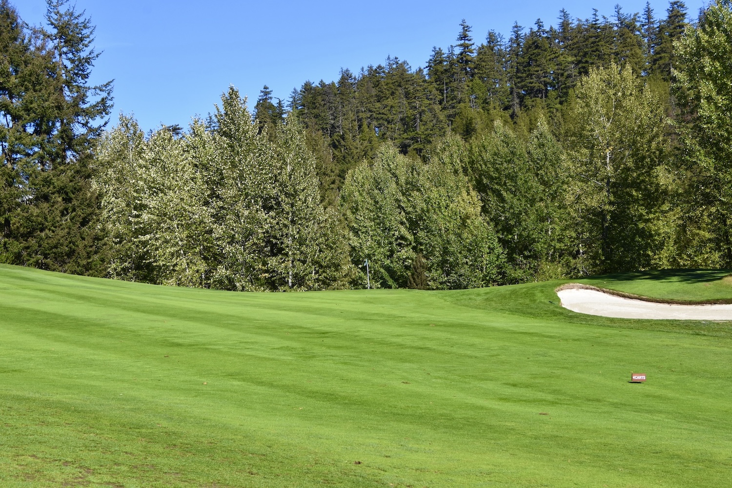#9 Approach, Chateau Whistler