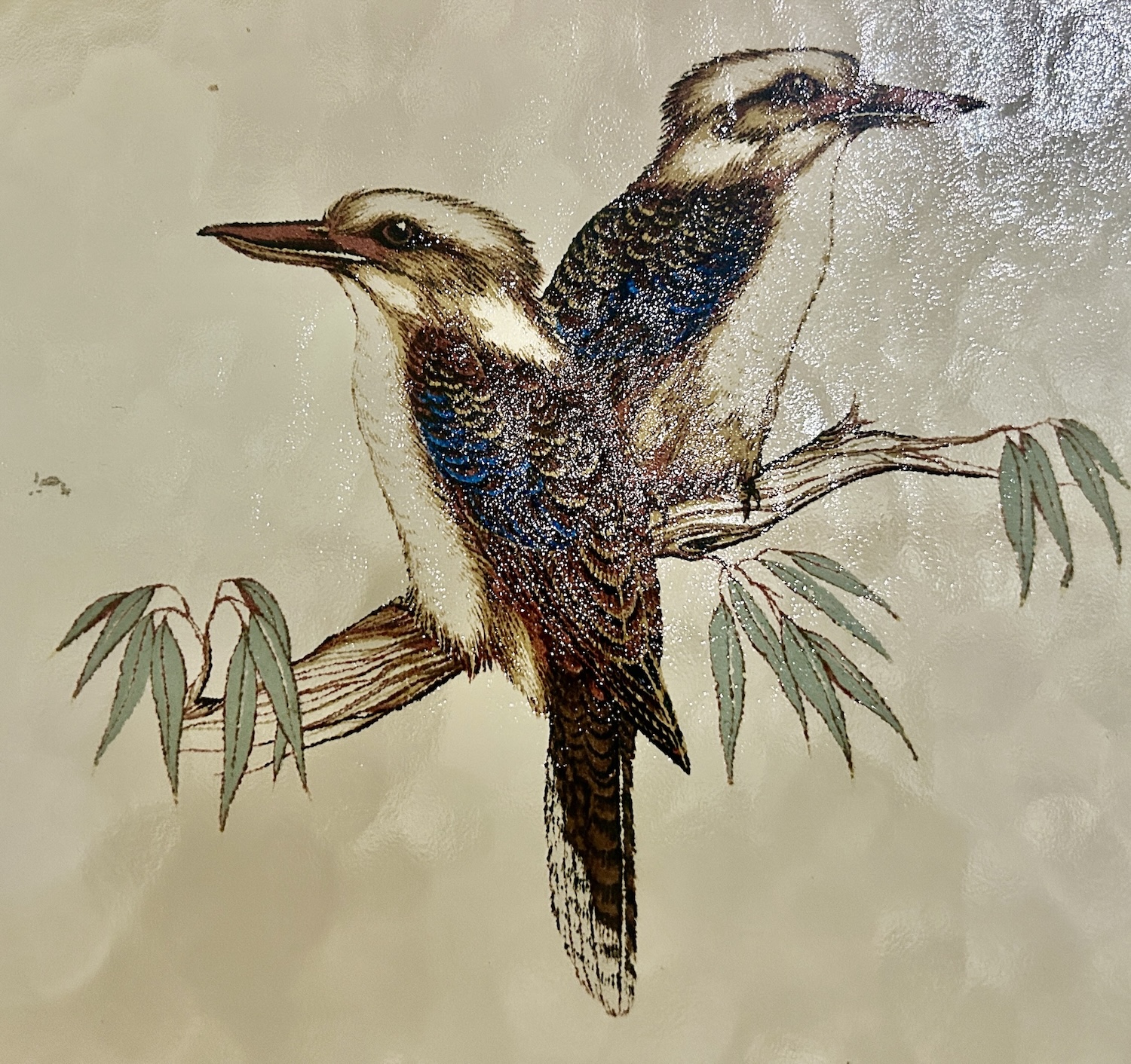 Kookaburra Stained Glass in the Freshwater Station, Kuranda Railway