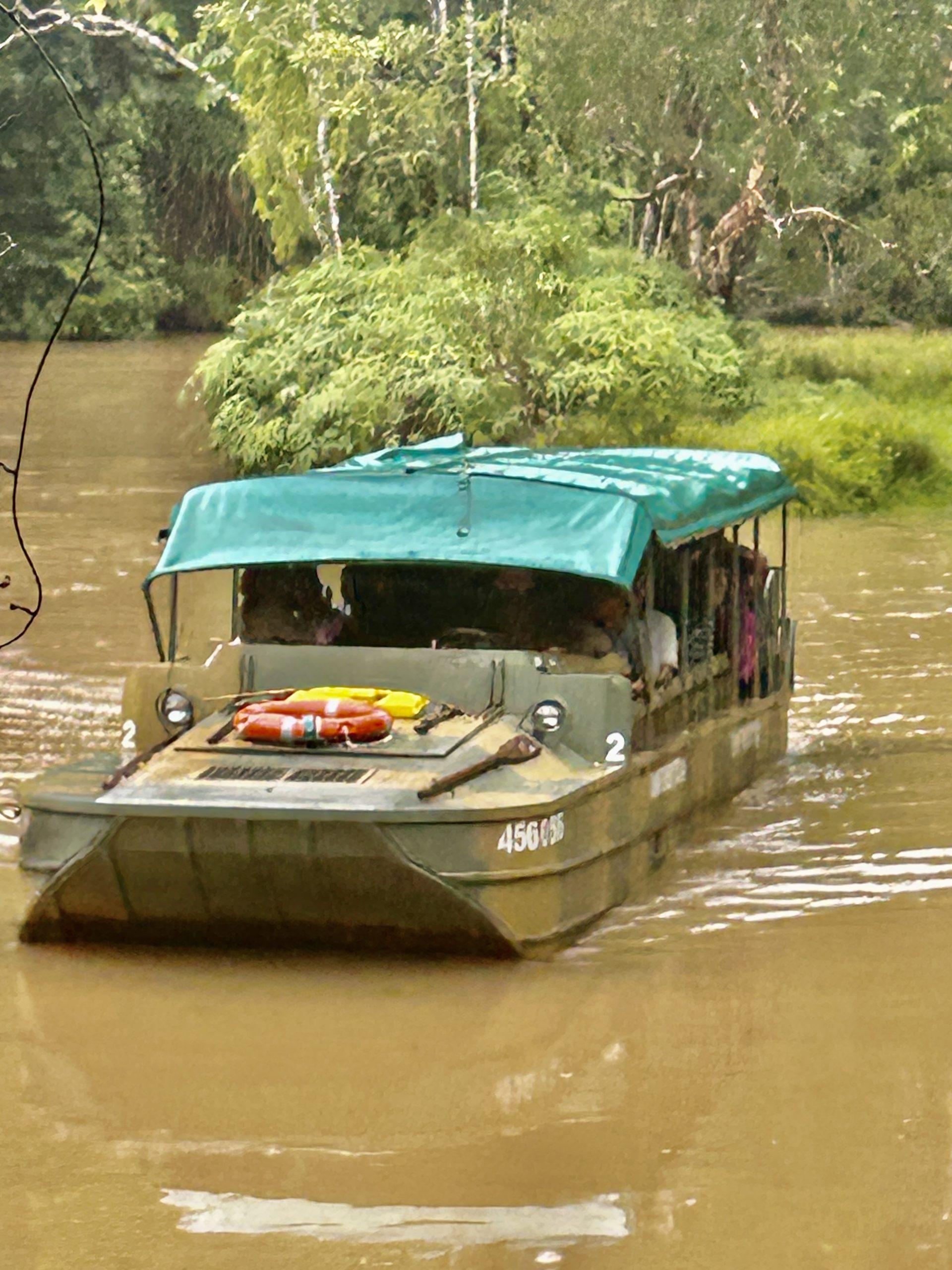 The Duck Boat, Daintree Rainforest