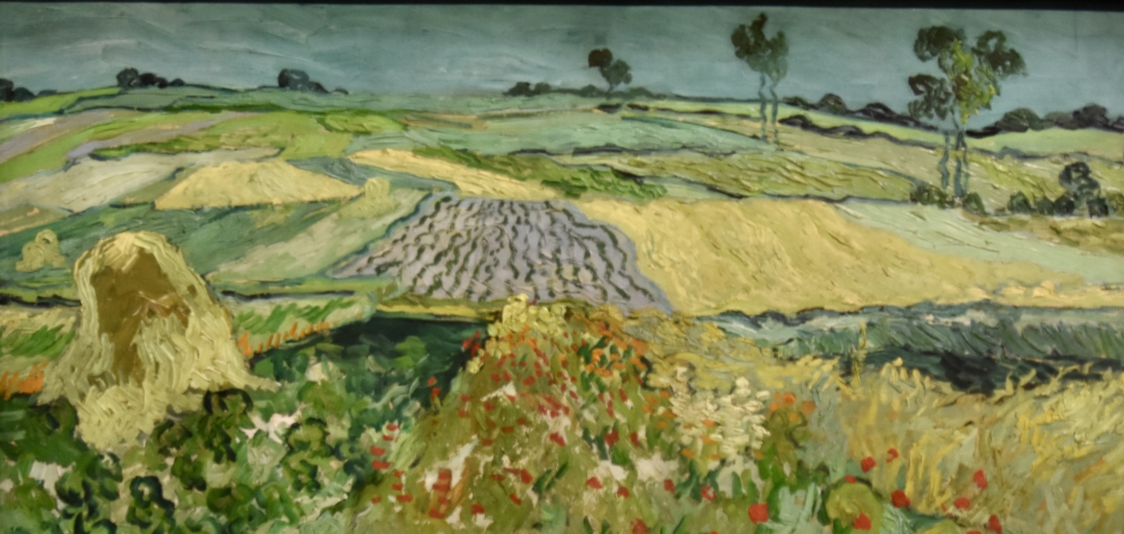 Van Gogh - Field outside Auverre, Belvedere